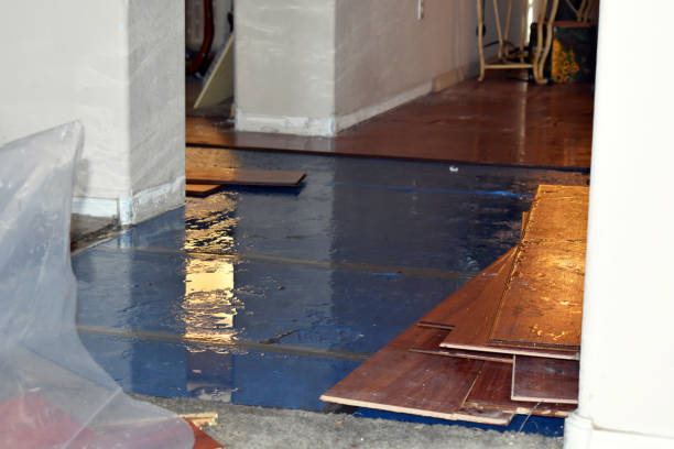 Professional Water Damage Restoration technician working in Arcadia, OH